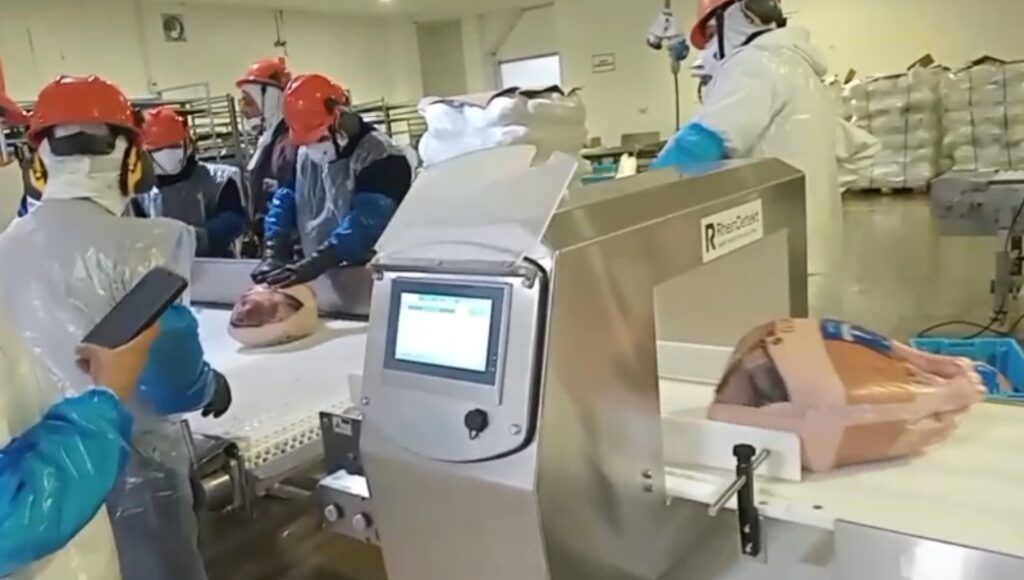 Metal Detector Poultry